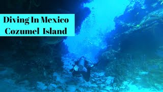 Diving on the island of Cozumel at the barrier reef by Ana Way 80 views 8 months ago 5 minutes, 46 seconds