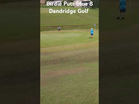 Drained It! Long Birdie Putt on Blue #8 at Dandridge Golf