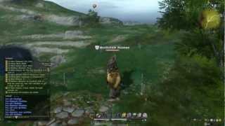 Final Fantasy 14 - Chocobo and Goobbue mounts