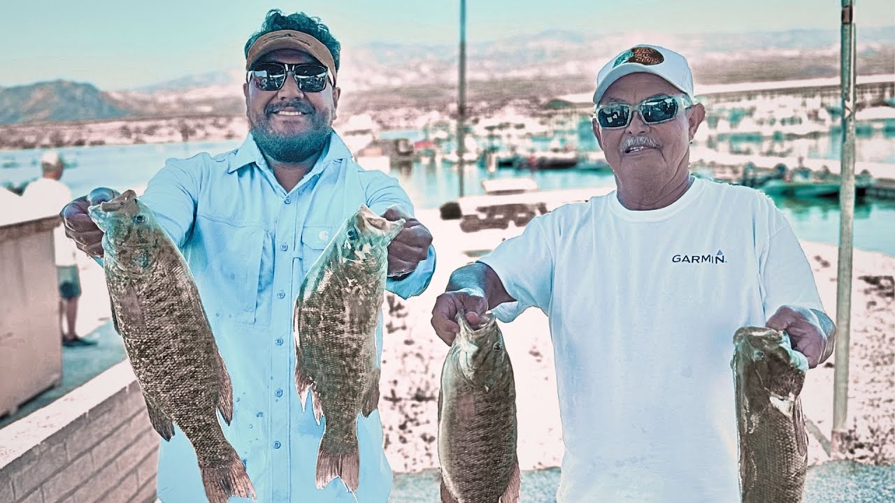 Ultimate bass team tournament fishing Southern Nevada