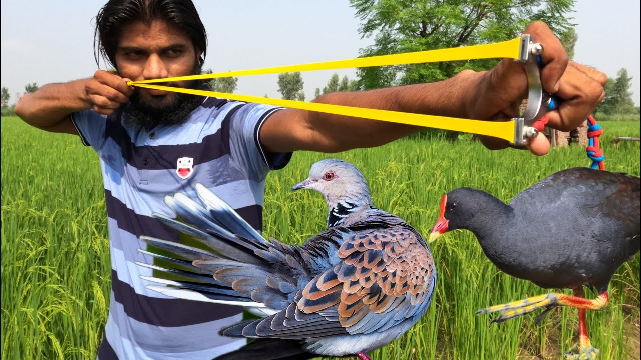 SlingShot Hunting Birds ! YouTube