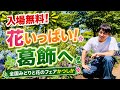 【都会のオアシス発見】入場無料！葛飾が花と緑に包まれていた【全国みどりと花のフェアかつしか】