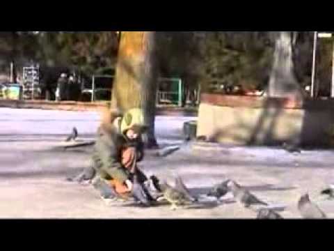 ცხოვრება გვასწავლის სათნოებას...