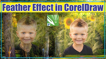 feather effect in coreldraw | Corel draw tips & tricks | Corel Draw | transparency tool effect