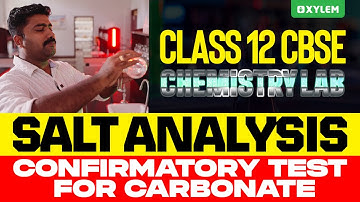 Class 12 CBSE Chemistry Lab | Salt Analysis - Confirmatory Test For Carbonate | Xylem 12 CBSE