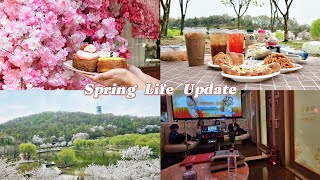 Spring Life Update(Hongdae Cafe, Picnic, Cherry Blossom, Karaoke) | Seoul Pastry Cafe + Dream Forest