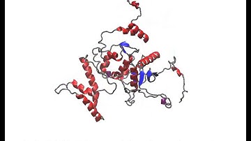 Simulation of catalytic domain of Botulinum Toxin A in 7 M Urea