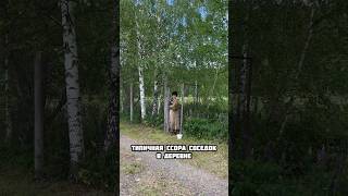 Типичная Ссора Соседок В Деревне #Shorts