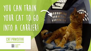 Cat Pawsitive: Home Edition | Train Your Cat to Go Into a Carrier!