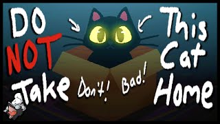 The Baddest or Goodest of Cats? | Do NOT Take This Cat Home (Part 1)