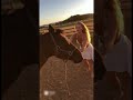 This male horse is exceptionally intelligent #horse #rodeo #horsegirl