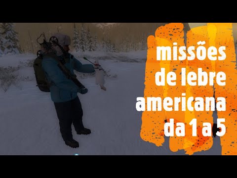 Vídeo: Quem é A Lebre Americana