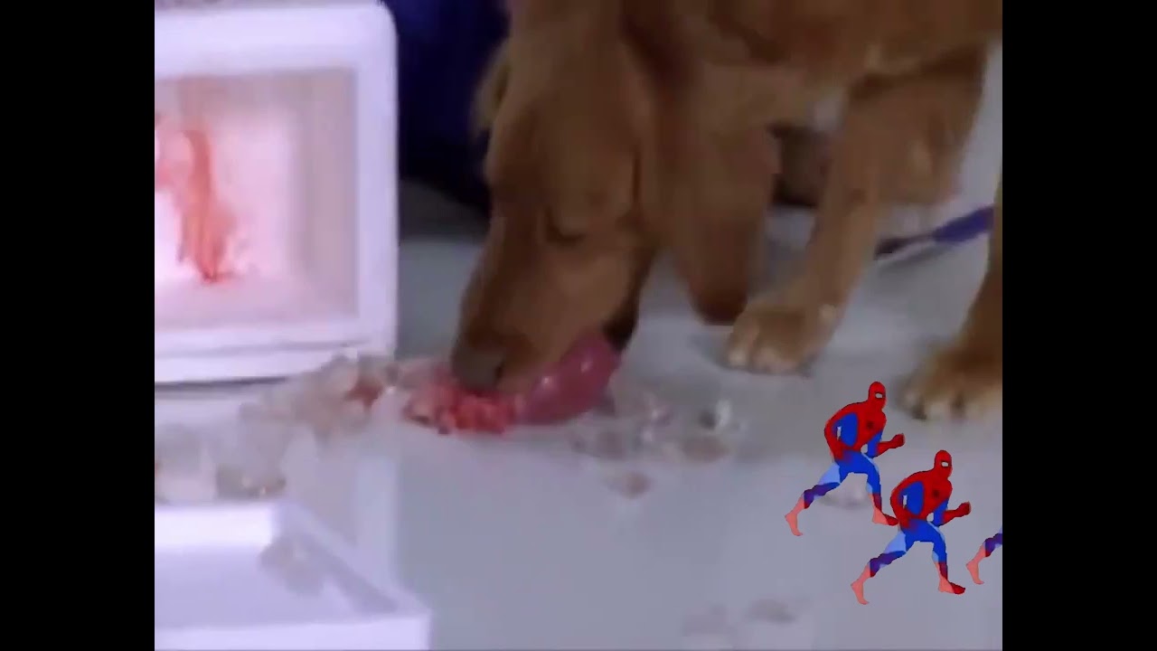 Hehehehehahah grr