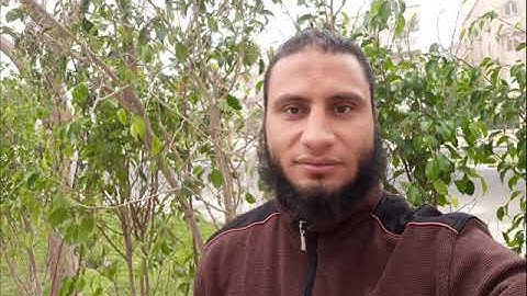 أَمْ لَهُمْ إِلَٰهٌ غَيْرُ اللَّهِ ۚ سُبْحَانَ اللَّهِ عَمَّا يُشْرِكُونَ. ؛القارئ هاني كامل خليفة