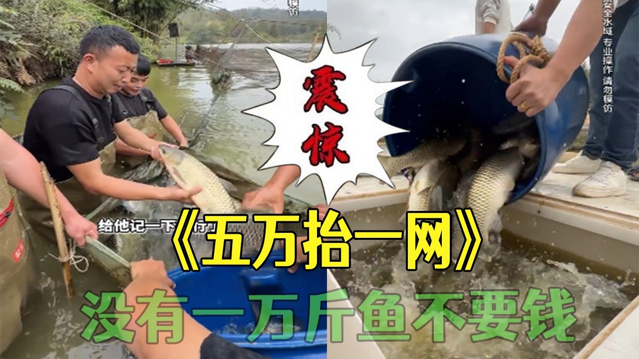 花 5 萬塊在魚塘擡壹網，沒有壹萬斤魚不要錢，究竟能上多少#小飛哥 #大熱門 #三農 #包塘 #護外