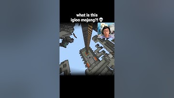 Minecraft Igloo Moment