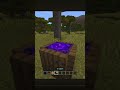 Insanely cool build in Minecraft😱 #minecraft #shorts ￼
