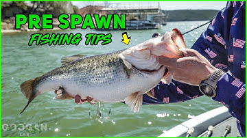 TOP 3 PRE SPAWN Fishing TIPS to CATCH MORE BASS!