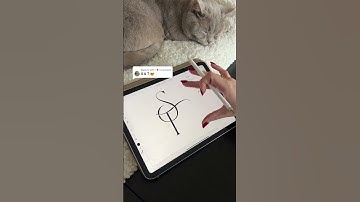 S & T | Adobe Illustrator Logo Design #designprocess #adobeillustrator #procreate