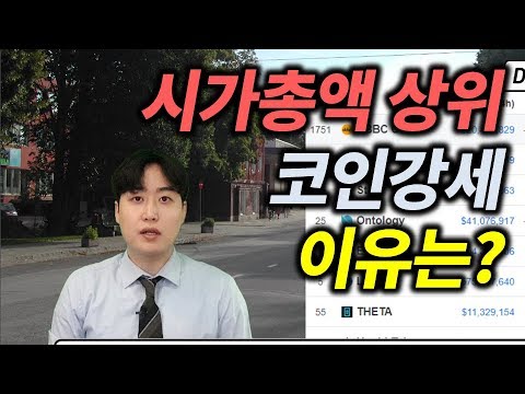   시가총액 상위 코인들 강세 이유는