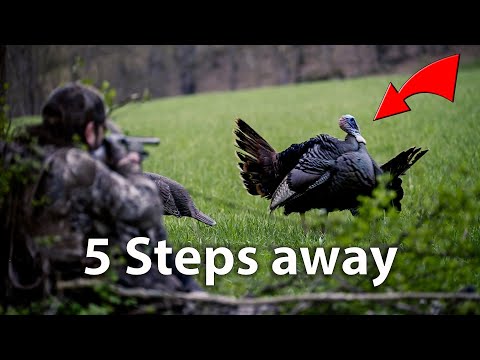 Turkey Hunting Up Close!