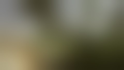 Call of Duty 4: Modern Warfare Xbox 360 Interview -