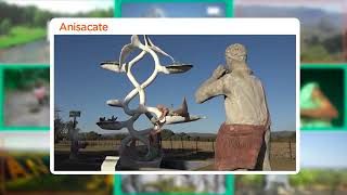 #Anisacate en #DestinoViajero