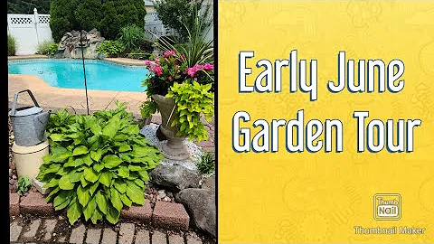 Early June Garden Tour