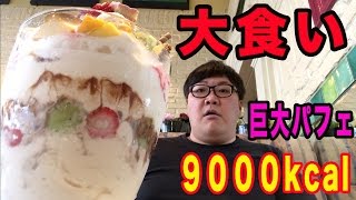 【最終回】巨大パフェ(6㎏)大食いチャレンジ成功するまでやってみた