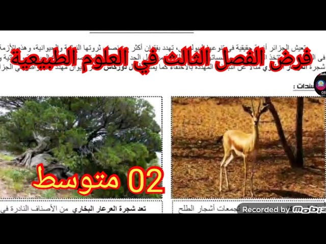 فرض الفصل الثالث في العلوم الطبيعية السنة الثانية متوسط 2025