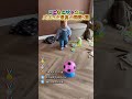 こどもとサッカーバズった最高の瞬間5選!!