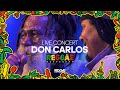Capture de la vidéo Don Carlos' Iconic Performance In Reggae Rotterdam Festival, Featuring Surprise Proposal