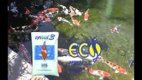EcoSystem Aquarium:  Miracle Mud 3