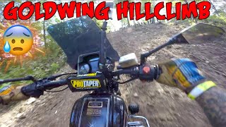 Hill Climb FAIL on a 900lb 40 year old Goldwing | Flight of the Dung Beetle