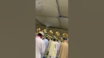 #حالة_واتس مقطع مؤثر من سورة السجدة للشيخ د. #أحمد_الحذيفي