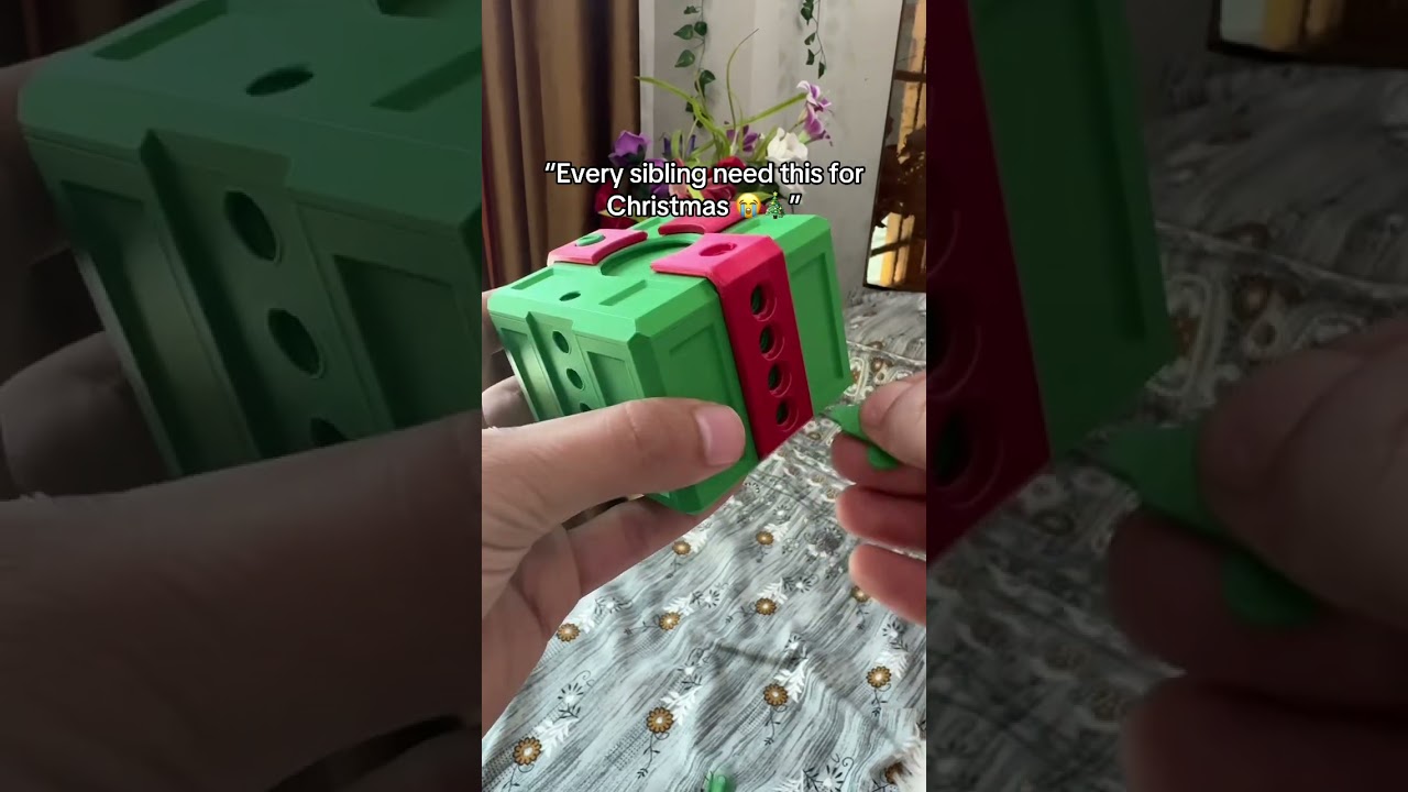 Perfect for siblings this Christmas 🎄😂😳