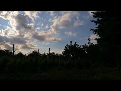The Very Last Time - Bullet For My Valentine (slowed + reverb)