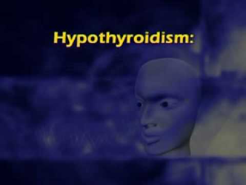 PSY101_Lecture14
