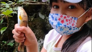 Amago Fish In Japan, Catch By Hands||Cherry Salmon Amago Fish In Japan, Catch By Hands||Cherry Salmon