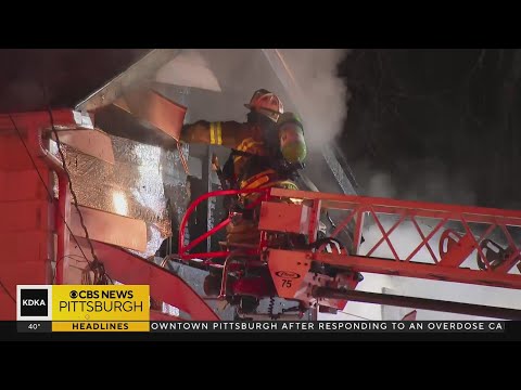 ผลสลากกินแบ่งรัฐบาล วันที่ 1 พย. 2567