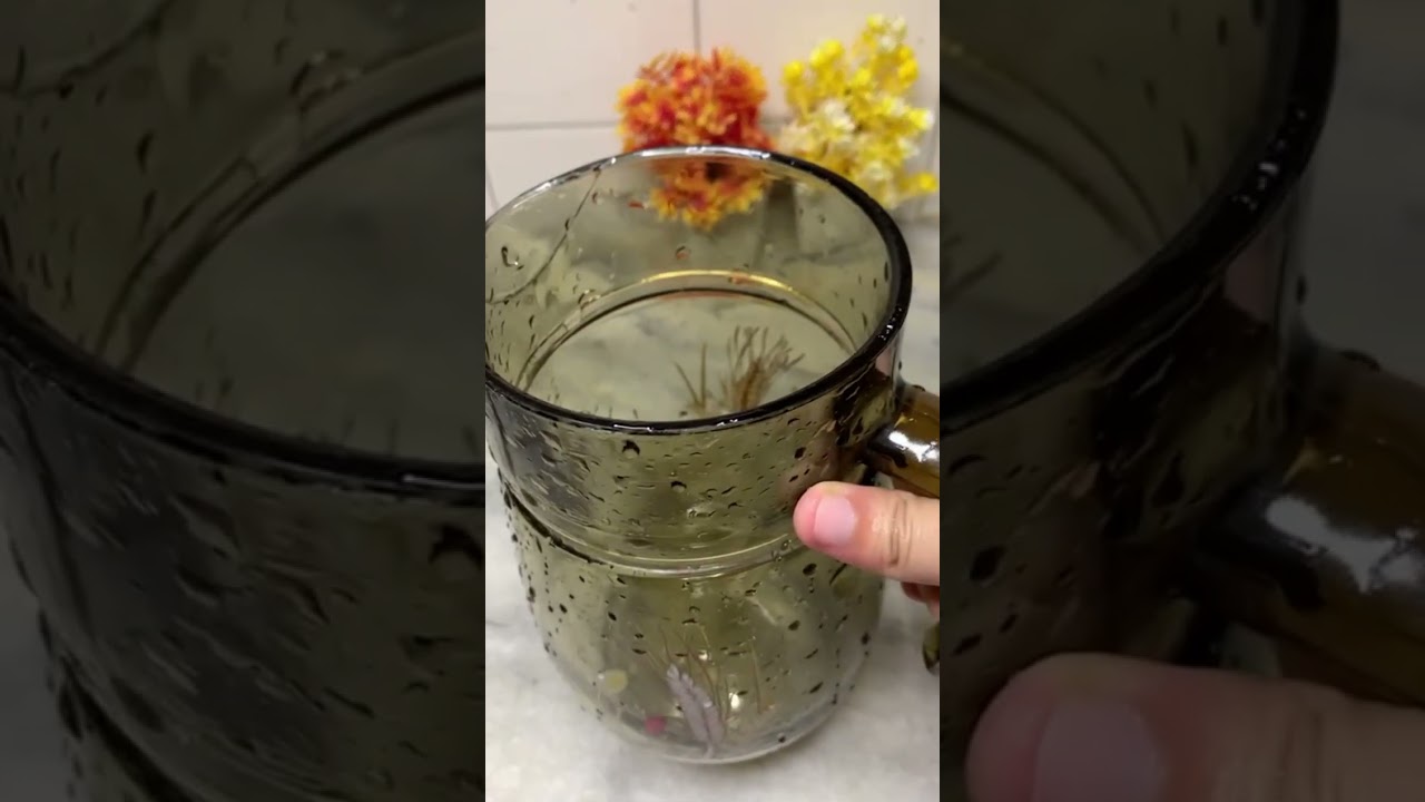 Refreshing and Healthy Falsa juice recipe 