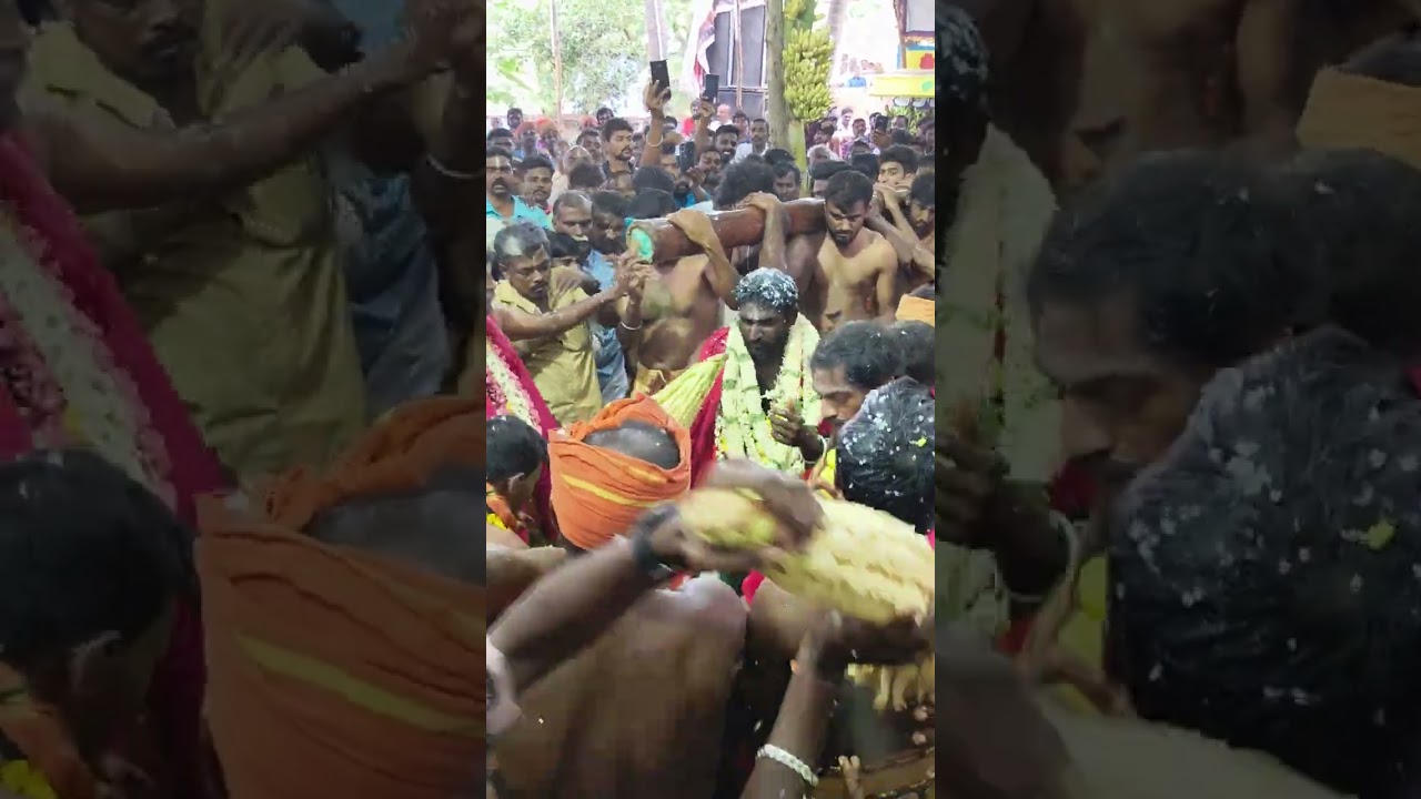 #வாகைபதி #கோவில் #கொடைவிழா 