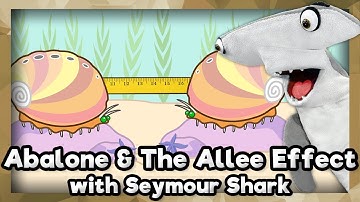 Abalone & The Allee Effect | Part Three | Aquarium of the Pacific