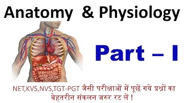 Anatomy and Physiology | MCQ | Part -1| #physicaleducation #dsssb #uptgt