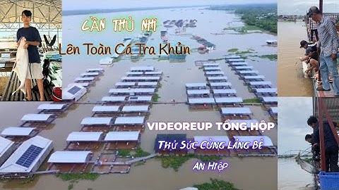 CÂU CÁ TRA SÔNG LÀNG BÈ AN HIỆP ĐỒNG THÁP#videoreup