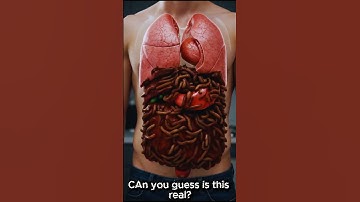 Animation of Digestive System | How Your Body Processes Food | Human Anatomy AI Generated Art