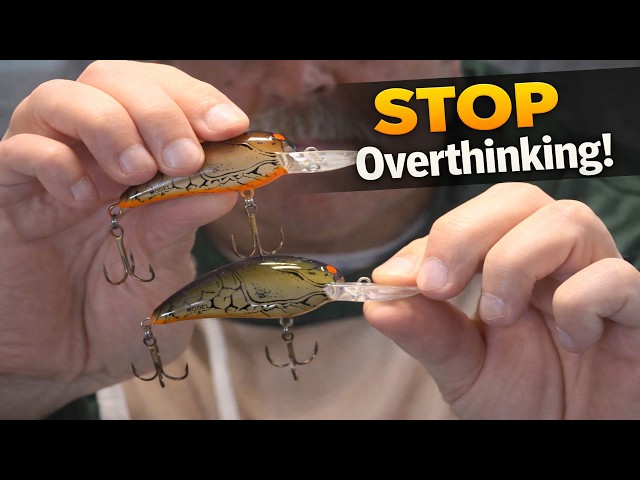 best lures for salt water fishing The Best Saltwater Lures for Pier Fishing