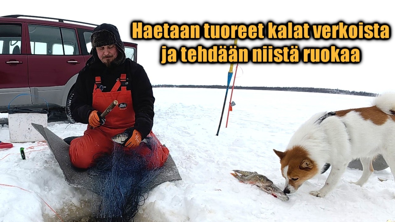 Talviverkoilla 6 Kokataan saalis