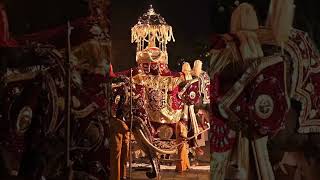 Kandy Esala Perahera Magic