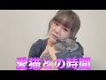 【癒し】愛猫の動画を見たいと言われましたので撮ってみた★